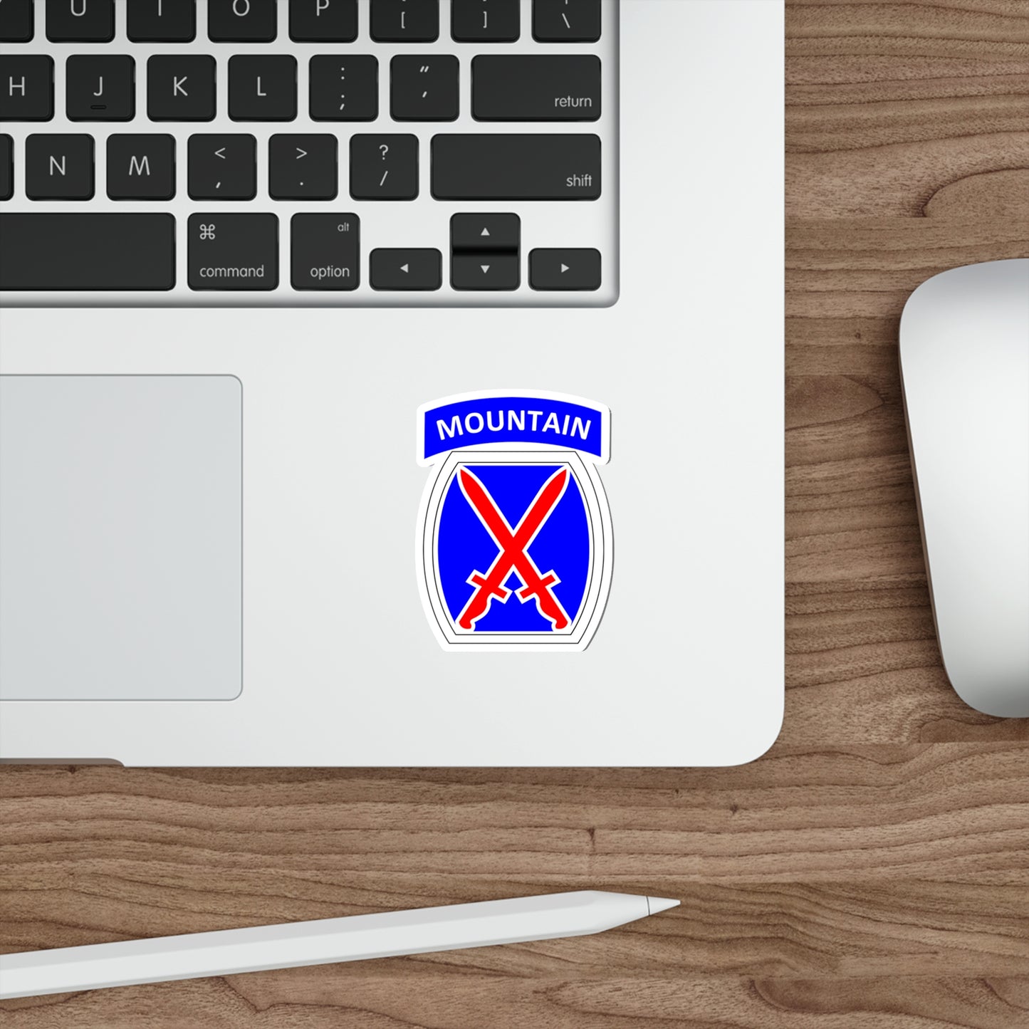 10th Mountain Division