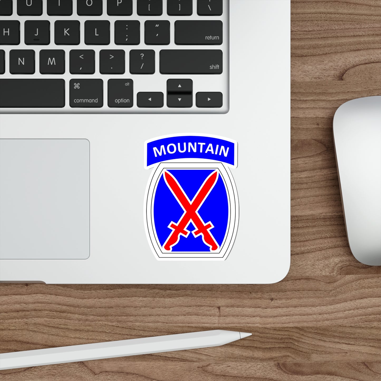 10th Mountain Division